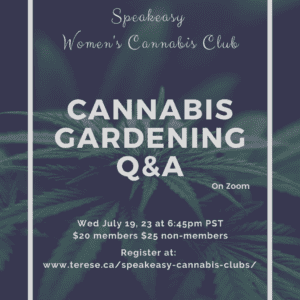 cannabis plant, cannabis gardening Q&A class